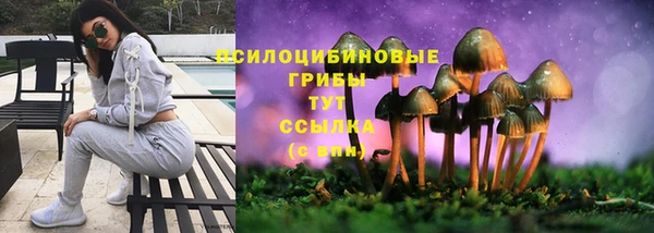 молекула духа Алексеевка