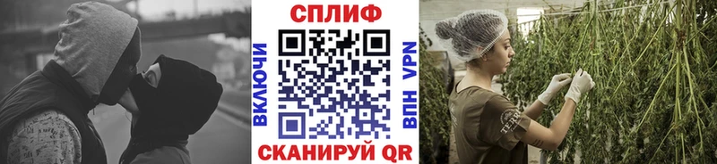 omg вход  Любим  Каннабис гибрид 